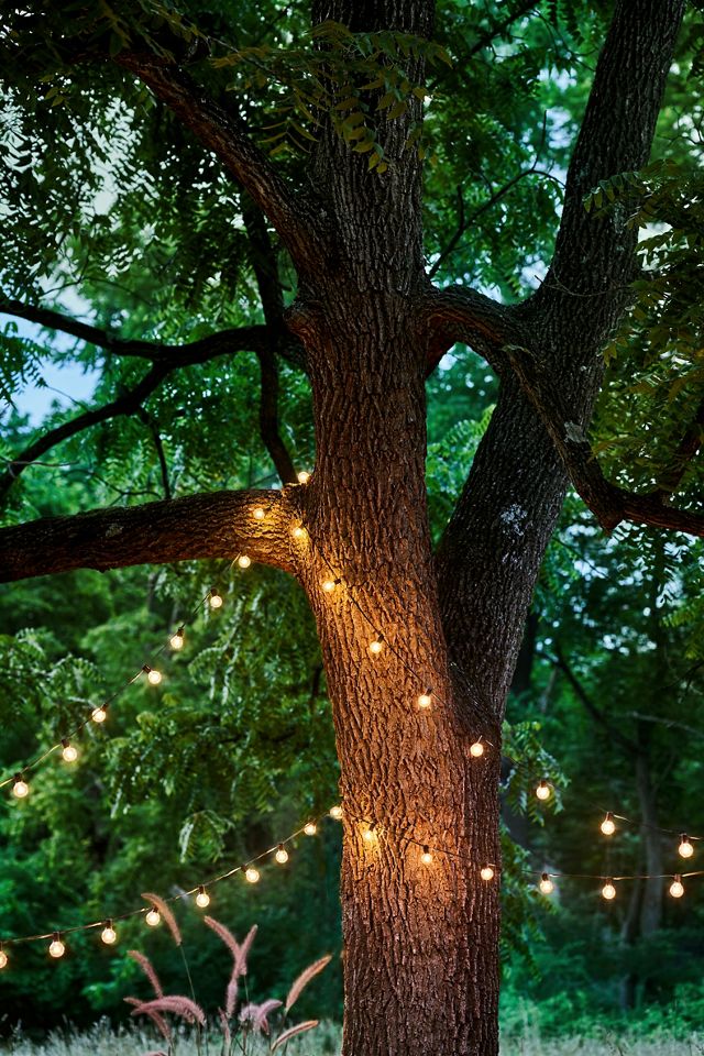 Stargazer Garden Lights Fairground Socket Strand, 20' #3
