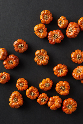 Terrain Preserved Pumpino Toppers