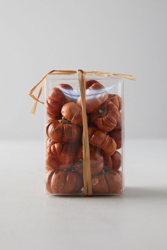 Preserved Pumpino Toppers #1