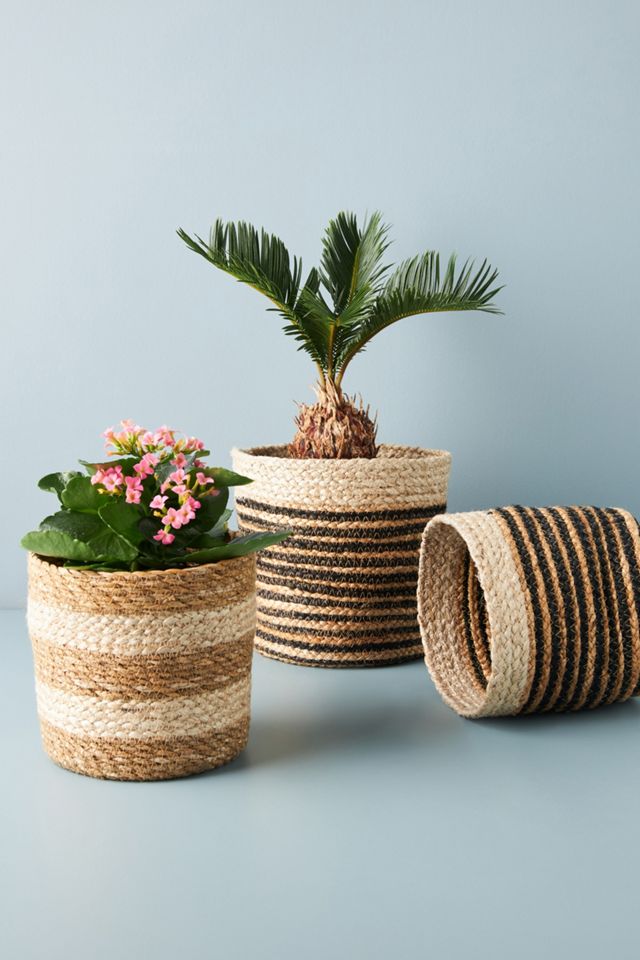 Woven Planters, Set of 3