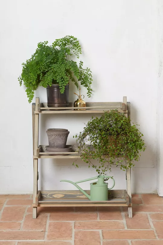 Spruce 3-Shelf Plant Stand – Terrain | Anthropologie