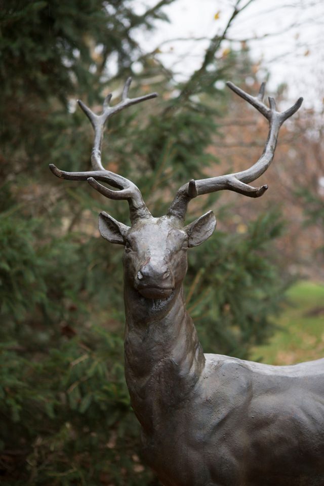 Alpine Iron Stag, Standing #1