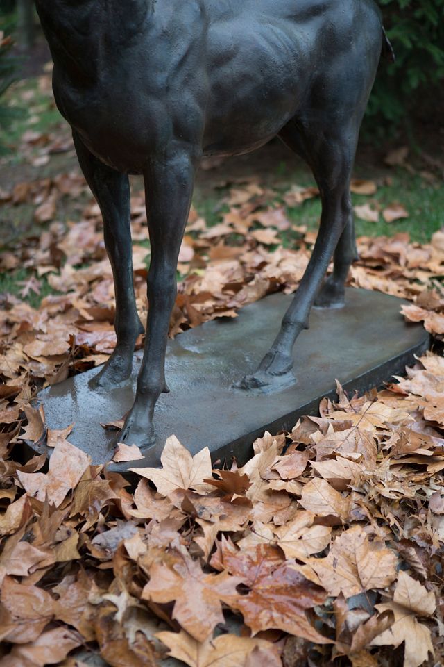 Alpine Iron Stag, Standing #2