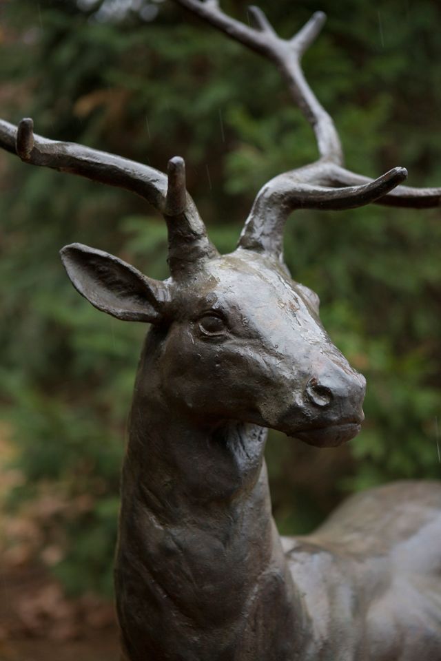Alpine Iron Stag, Standing #3
