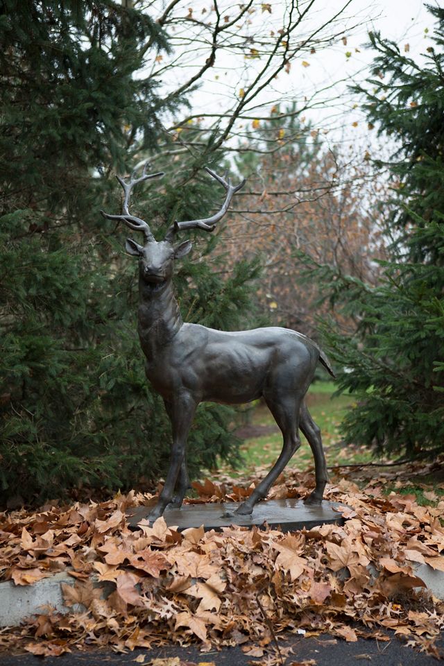 Large outlet standing decorative stag