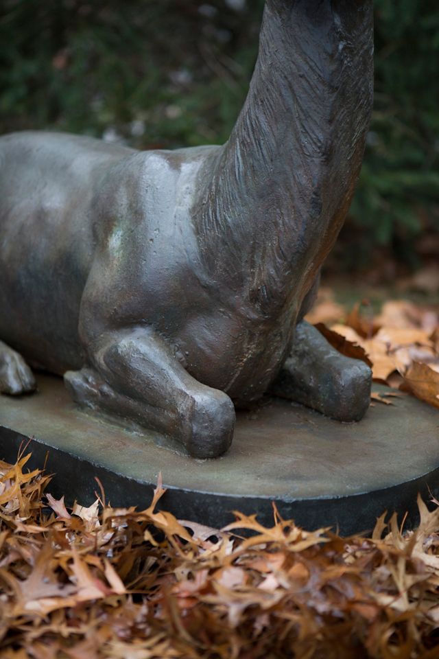 Alpine Iron Stag, Resting #2