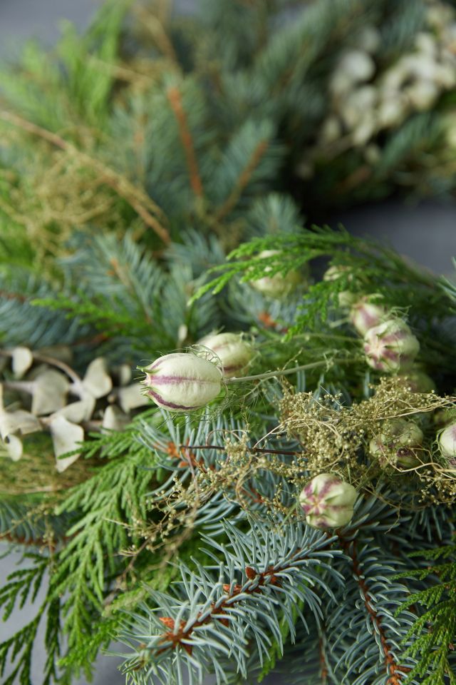Fresh Winter Frost Wreath with Ribbon #3