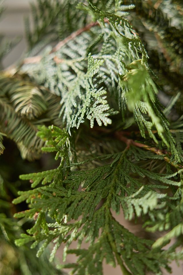 Fresh Juniper + Noble Fir Garland #1