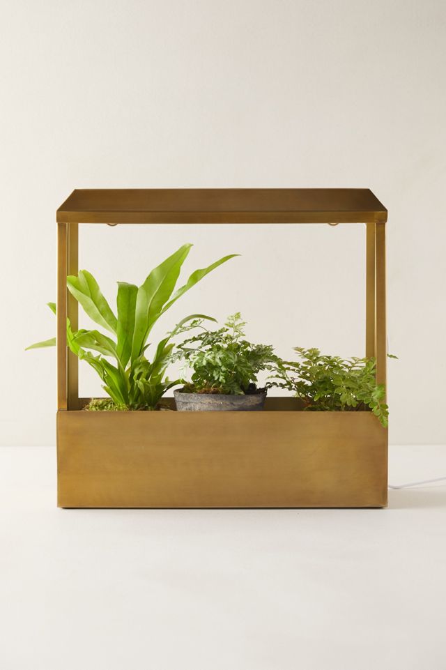 Brass Grow House #1