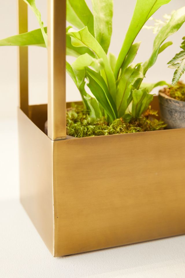 Brass Grow House #2