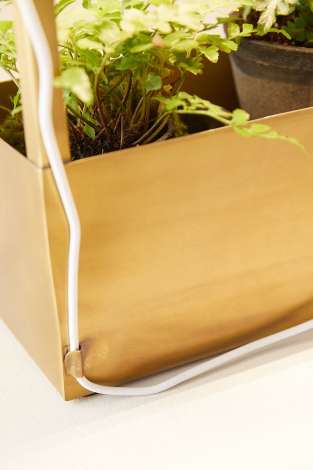 Brass Grow House #5
