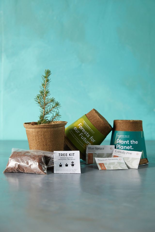 Tree Growing Seed Kits, Set of 3 #1