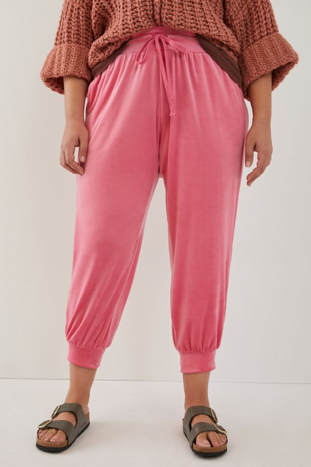 Gloria Velvet Joggers  Anthropologie Singapore