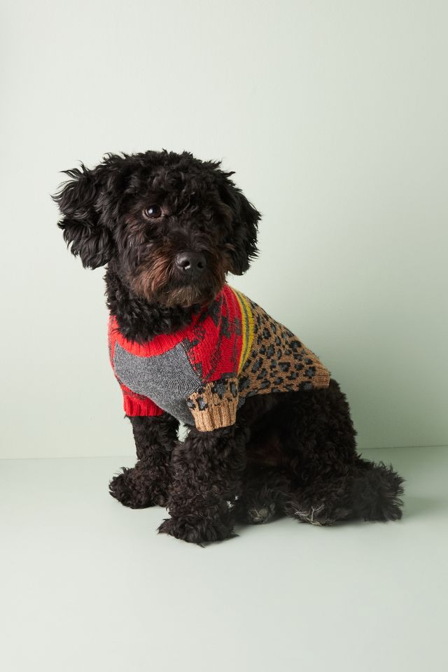 Anthropologie dog outlet sweater