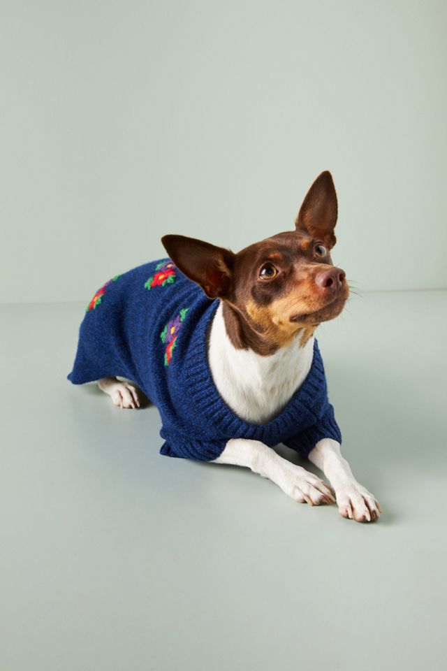 Embroidered Flower Dog Sweater #2