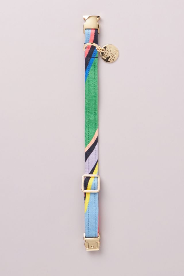 Nice Digs Easy Tiger Dog Collar #1