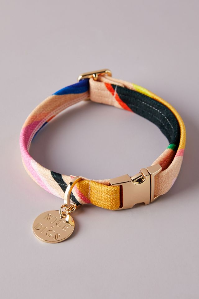 Nice Digs Easy Tiger Dog Collar #1
