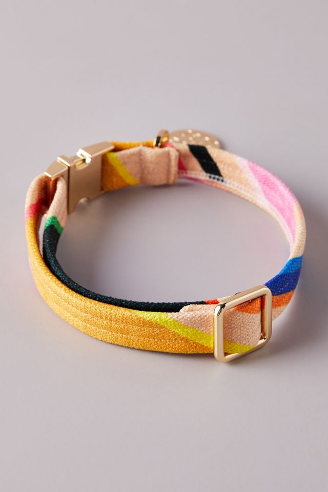 Nice Digs Easy Tiger Dog Collar #2