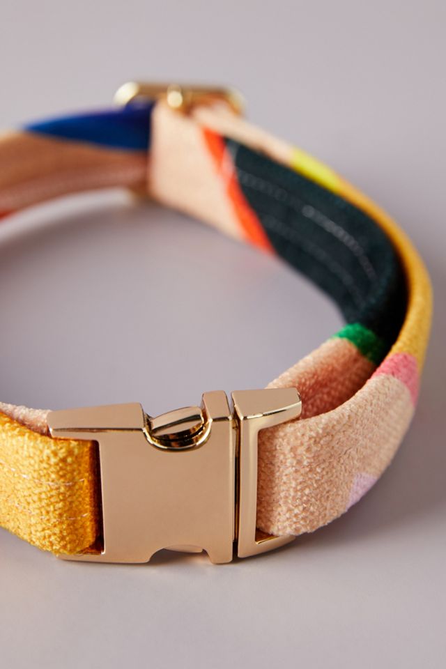 Nice Digs Easy Tiger Dog Collar #3