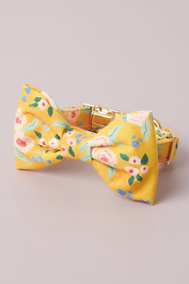 The Foggy Dog Harper Bow Tie #1