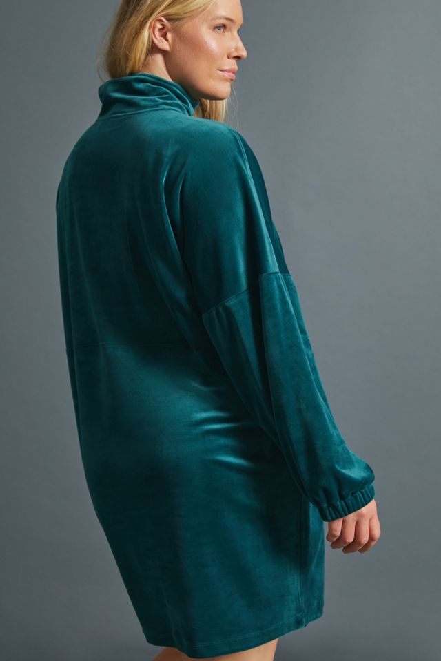 Rosalind Velvet Tunic Dress #6