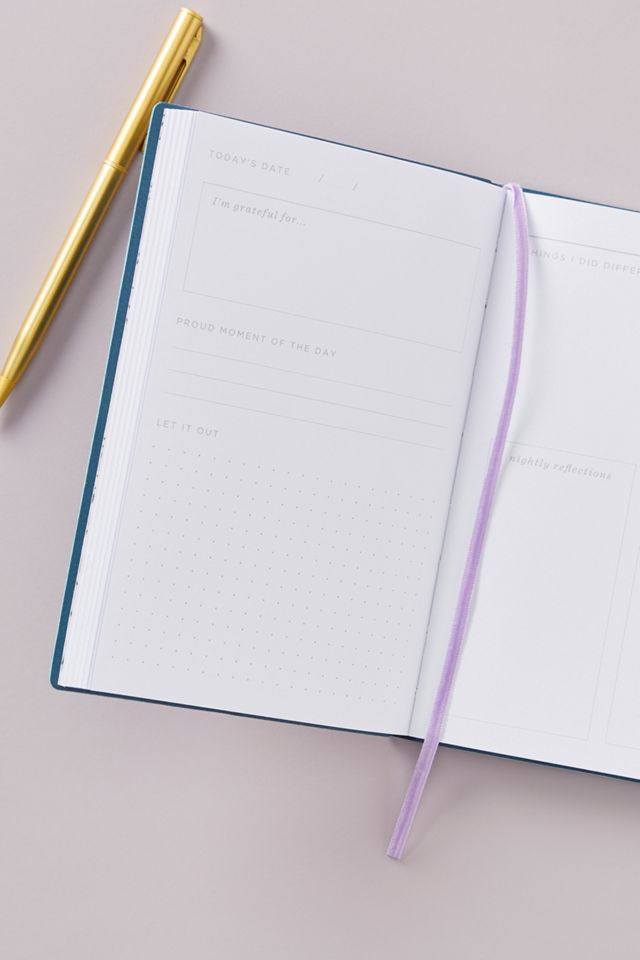 Aster Gratitude Journal #1
