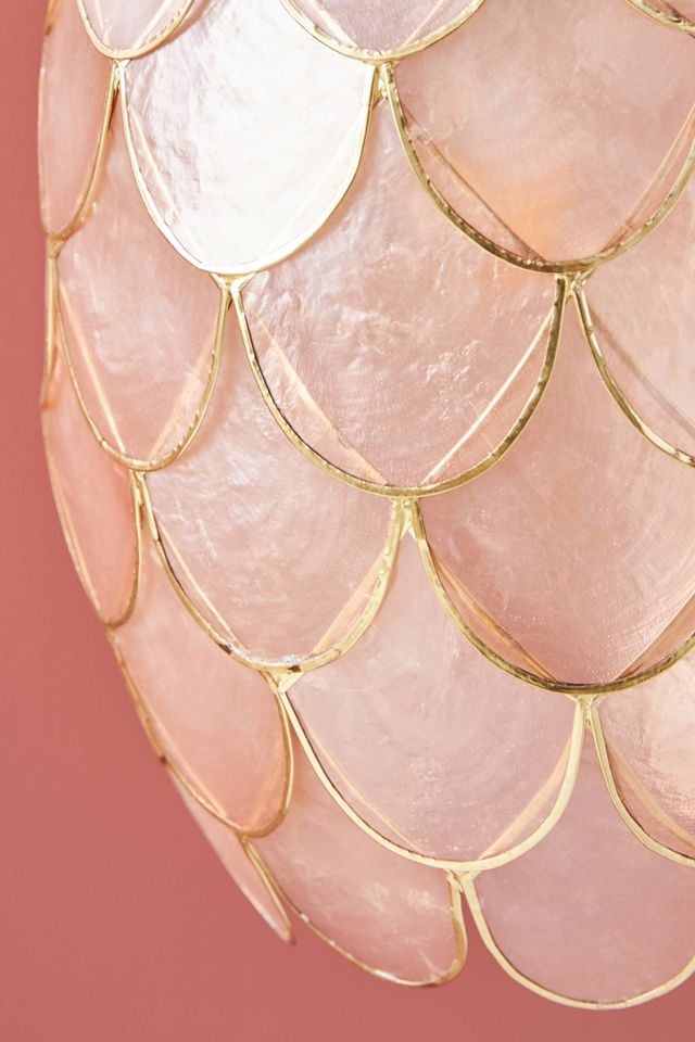 Phillipa Capiz Sconce Wall Light #3