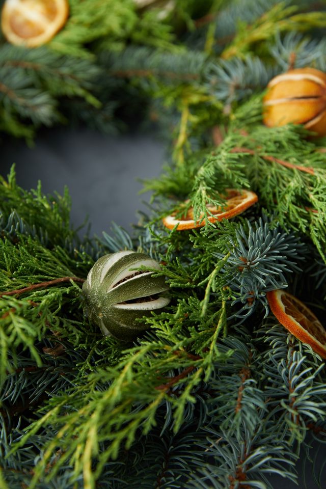Fresh Evergreen + Dried Citrus Wreath #4