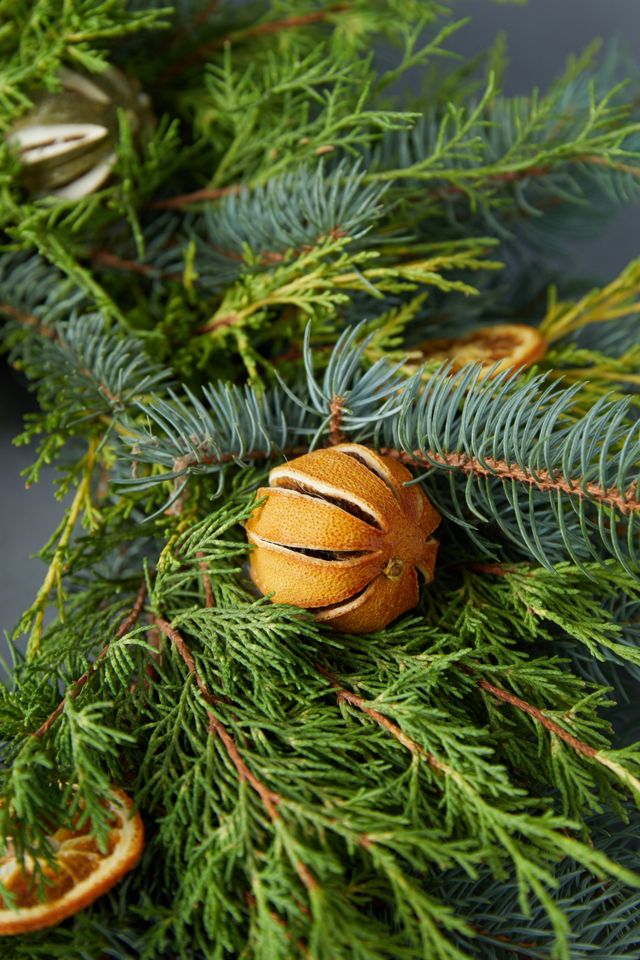 Fresh Evergreen + Dried Citrus Wreath #2