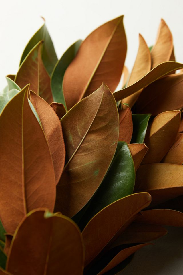 Fresh Magnolia Wreath #4