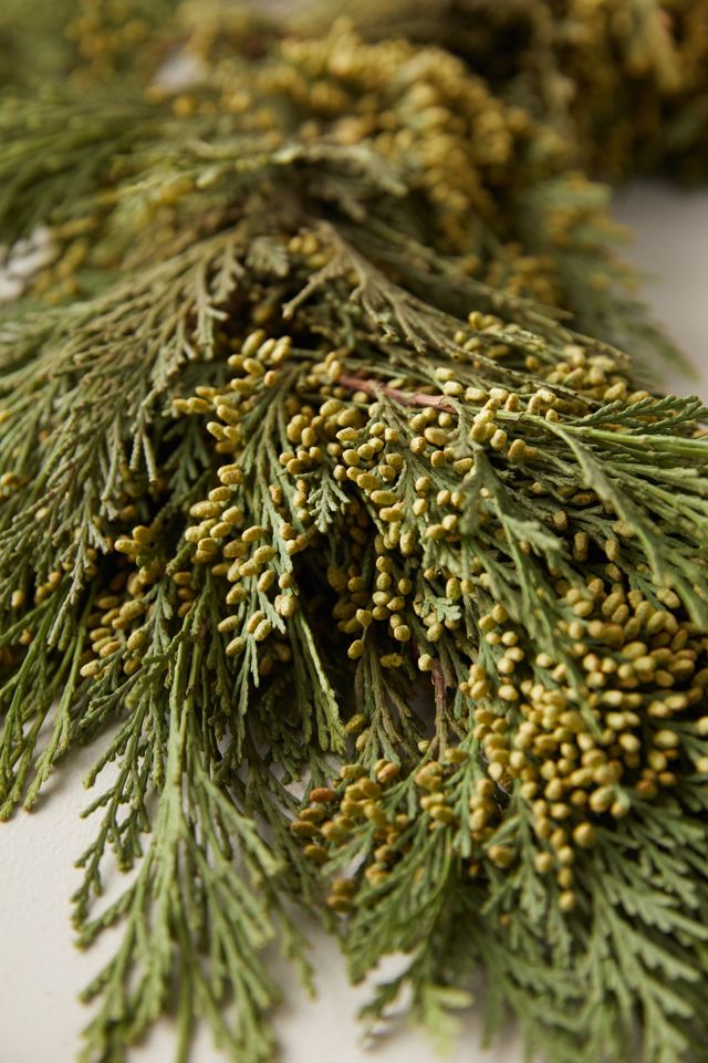 Fresh Incense Cedar Garland, 10' #2