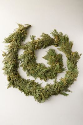 Fresh Incense Cedar Garland, 10'