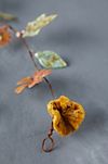 Gilded Botanicals Iron + Velvet Garland, Small #3