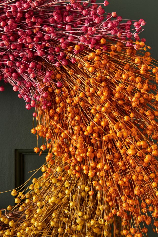 Ombre Dried Linseed Wreath #1