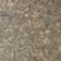 Grey Pattern