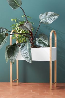Grove Planter