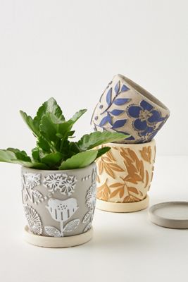 Gladia Planter
