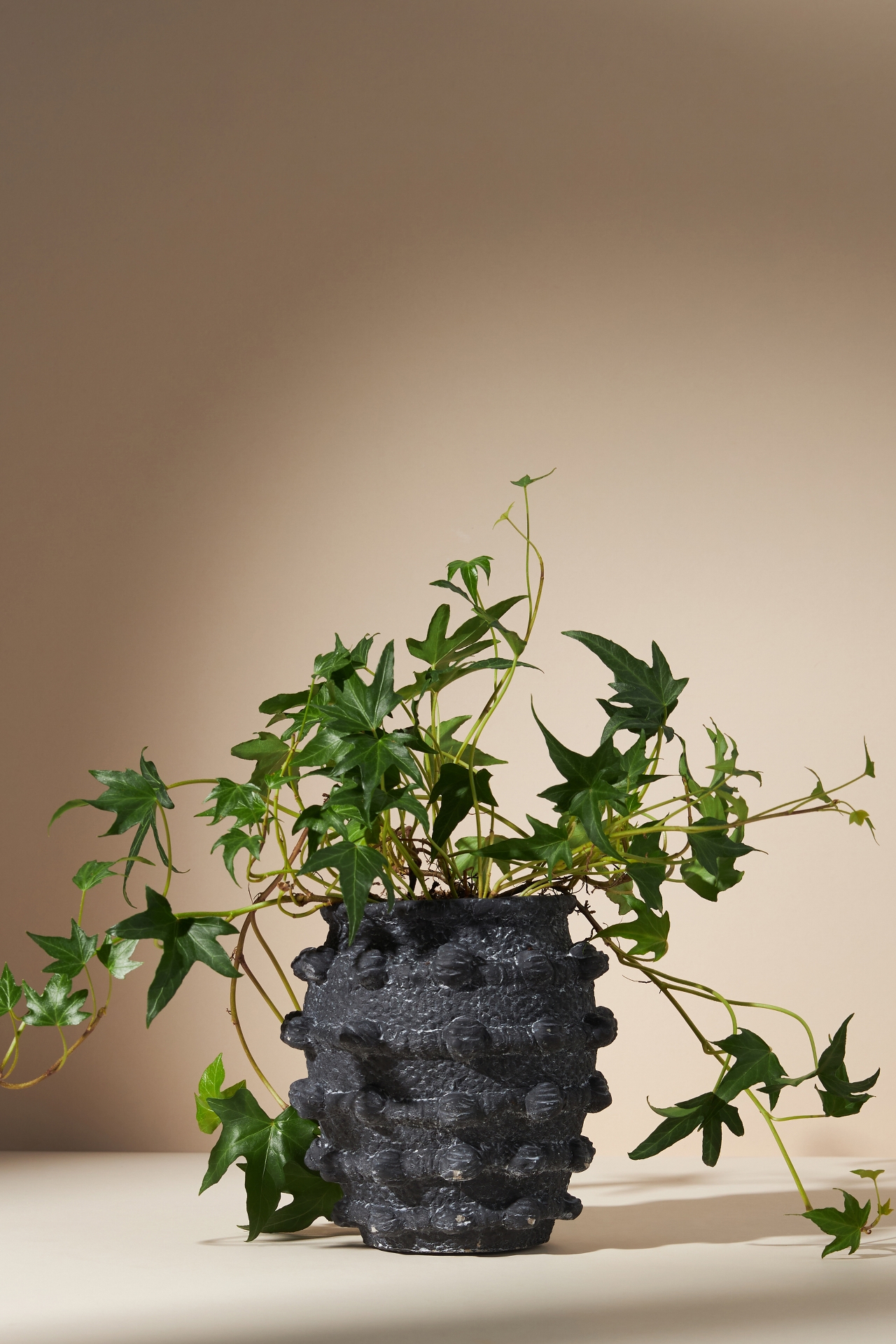 Minka Textured Pot