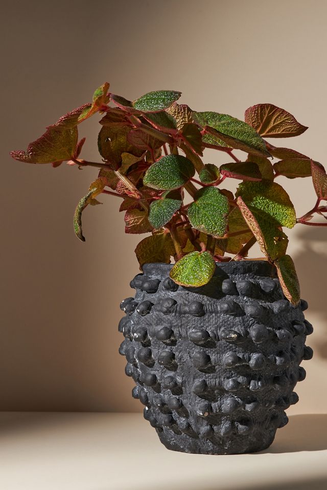 Minka Textured Pot #4