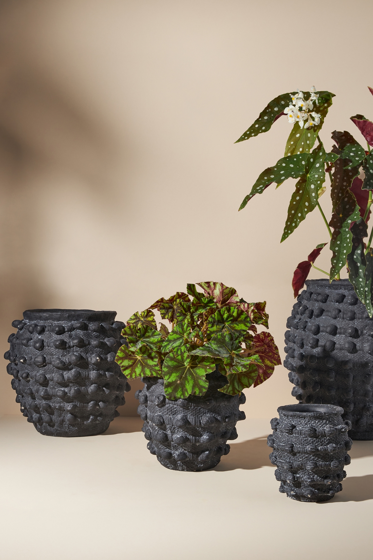 Minka Textured Pot