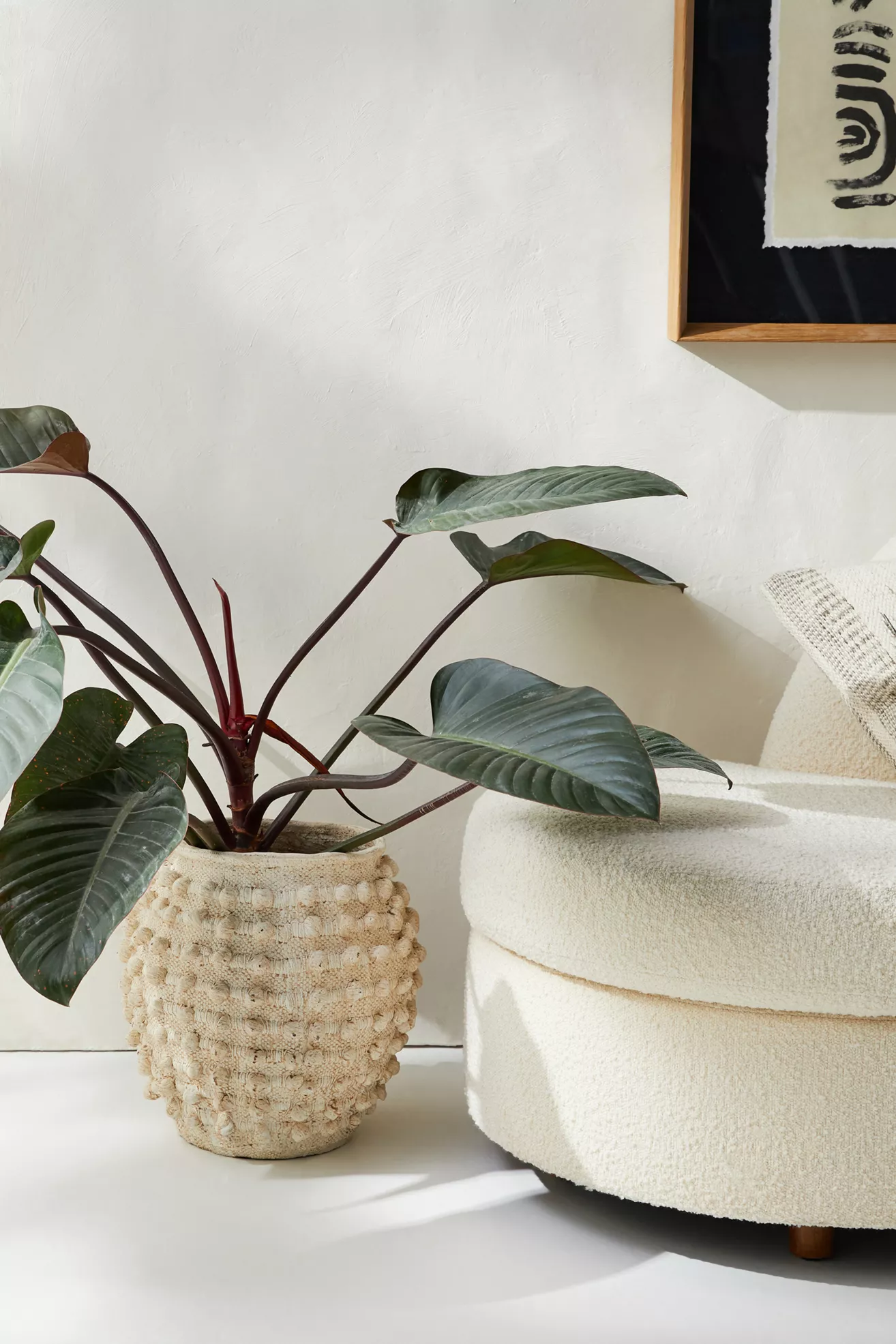 Minka Textured Pot | Stylish Handpainted Cement Vase