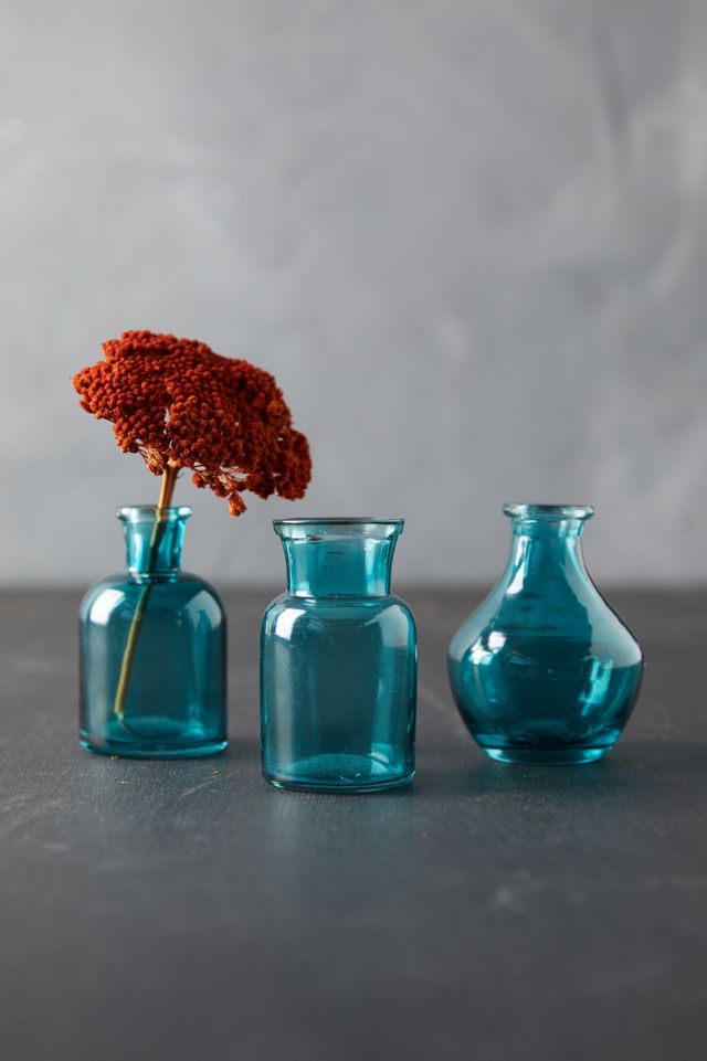 Bottle Bud Vases, Set of 3