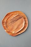 Wood Grain Dinner Plate #2