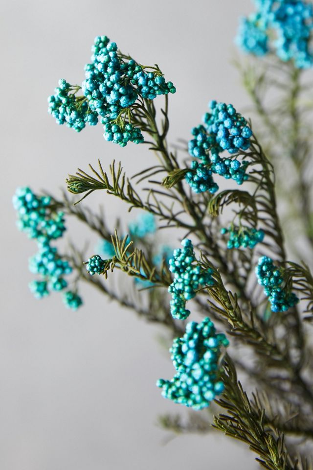 Preserved Rice Flower Bunch, Blue #2