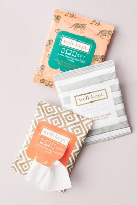 Well-Kept Screen Cleansing Towelettes Trio