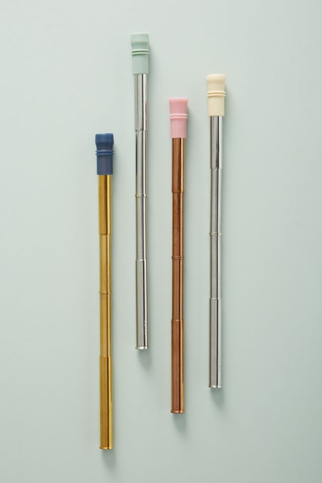 Sukk Collapsible Straw & Case #2