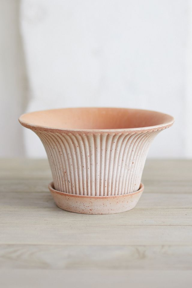 Bergs Fluted Pot + Saucer Set, Natural 12 #1