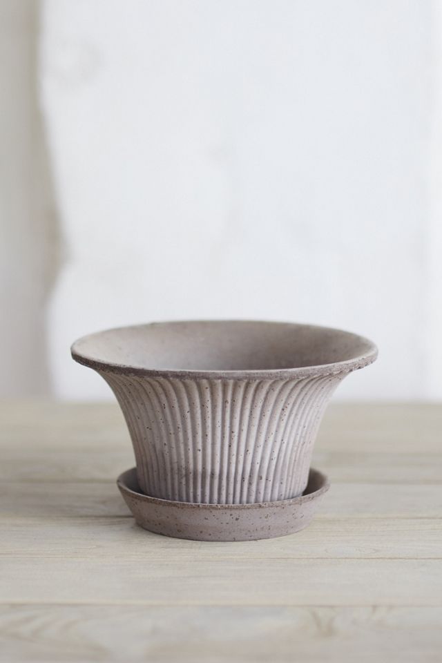 Bergs Daisy Terracotta Pot + Saucer Set #3