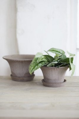 Bergs Daisy Terracotta Pot + Saucer Set