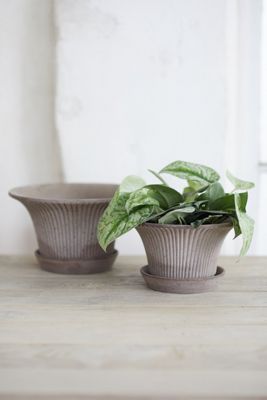 Bergs Daisy Terracotta Pot + Saucer Set